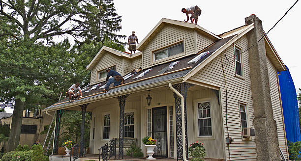 Best Roof Gutter Cleaning  in Williamson, AZ